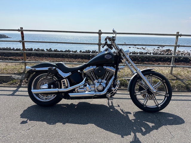 北海道の海岸線で撮影したハーレーソフテイルカスタムのサイドビュー全体写真