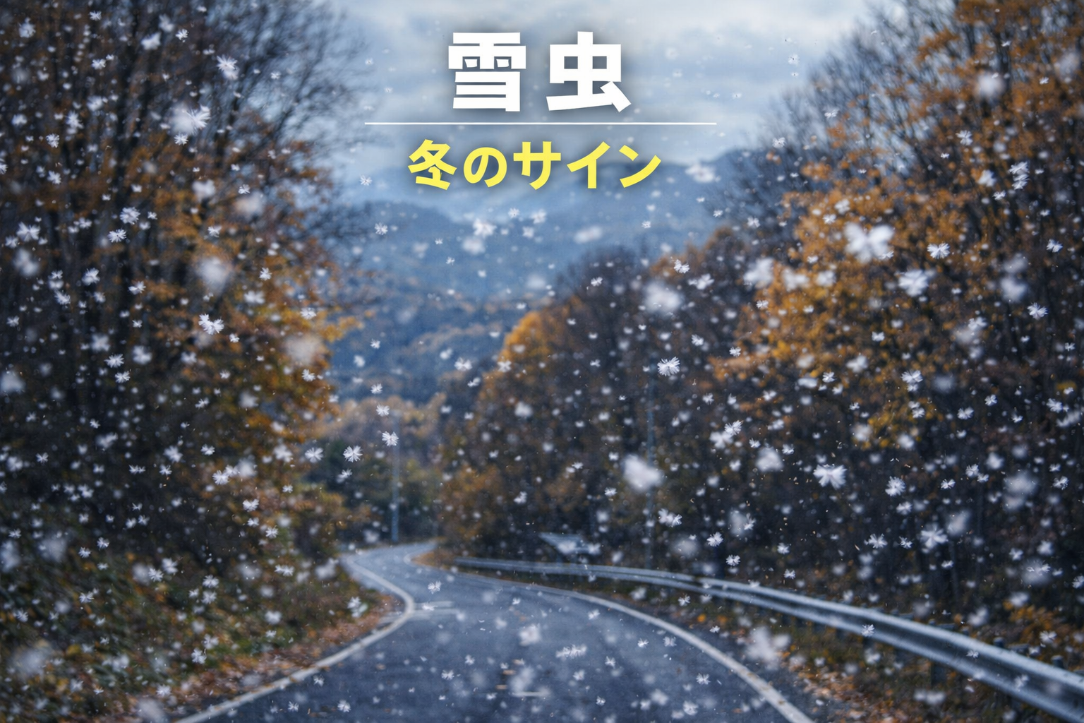 秋の北海道の山道で大量に飛ぶ雪虫と冬が近いことを感じさせる風景