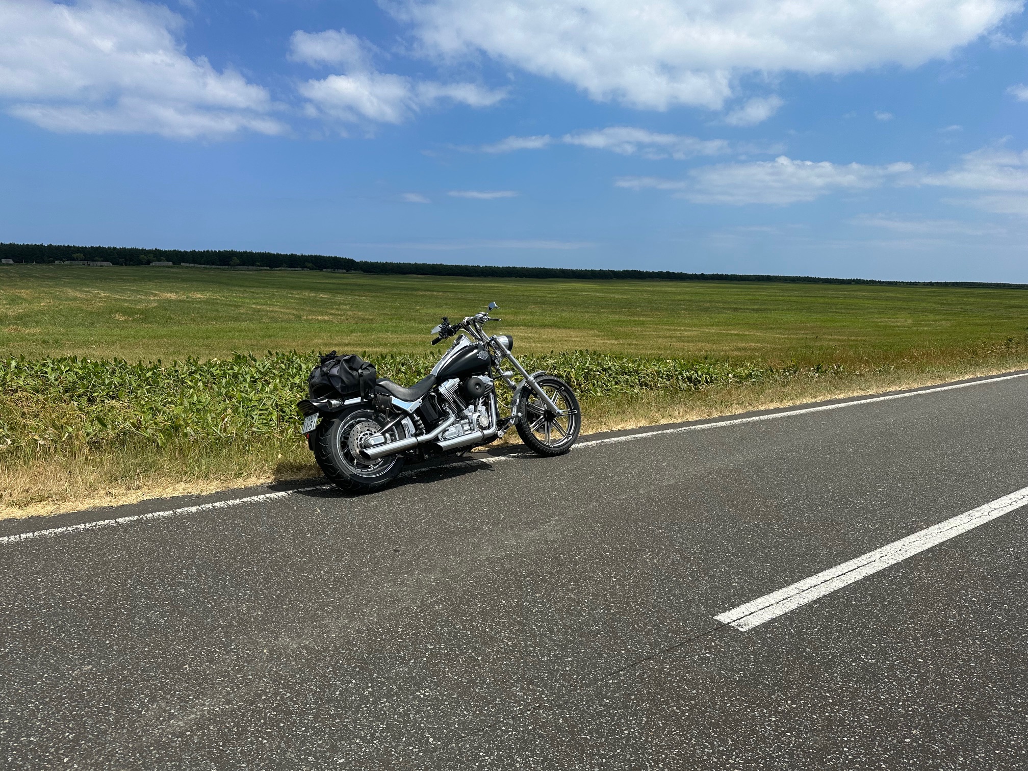 サロベツ原野を走るVツインバイクと広大な湿原の風景（北海道ツーリング）
