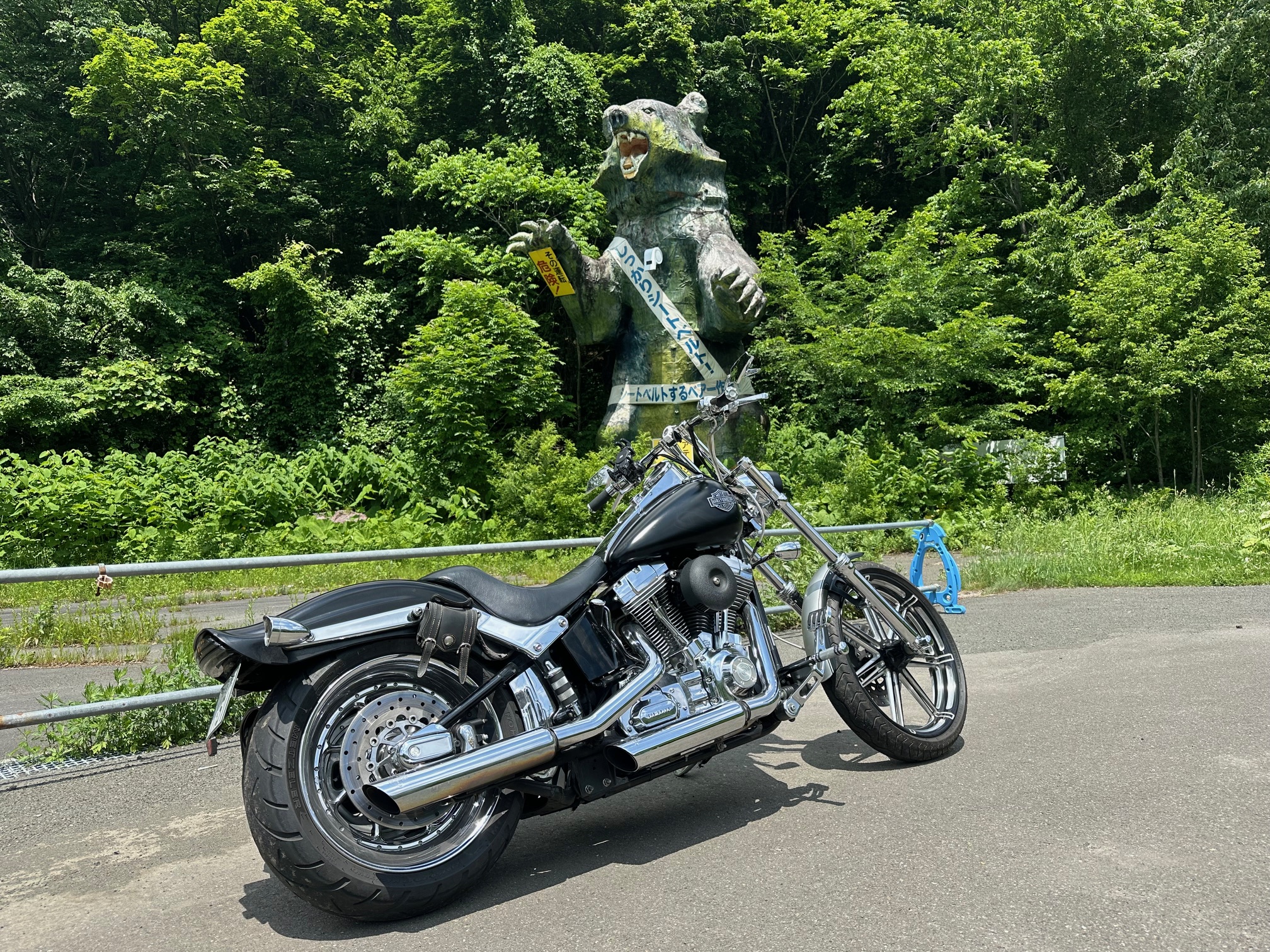 石勝樹海ロードの森の中を走るVツインバイク（北海道ツーリング）